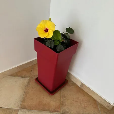 Lägenhetshotell Welcome Naxos