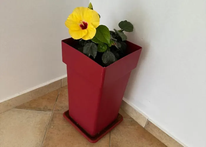 Apart Otel Welcome Naxos